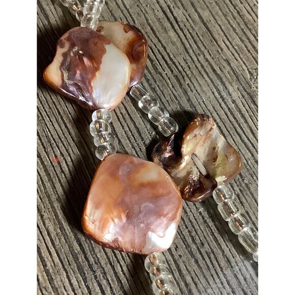 Champagne Shell Sun Shells Size 7 - 8 - Picture 7 of 7